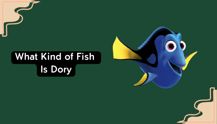 What Kind of Fish Is Dory